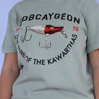 Lure of the Kawarthas